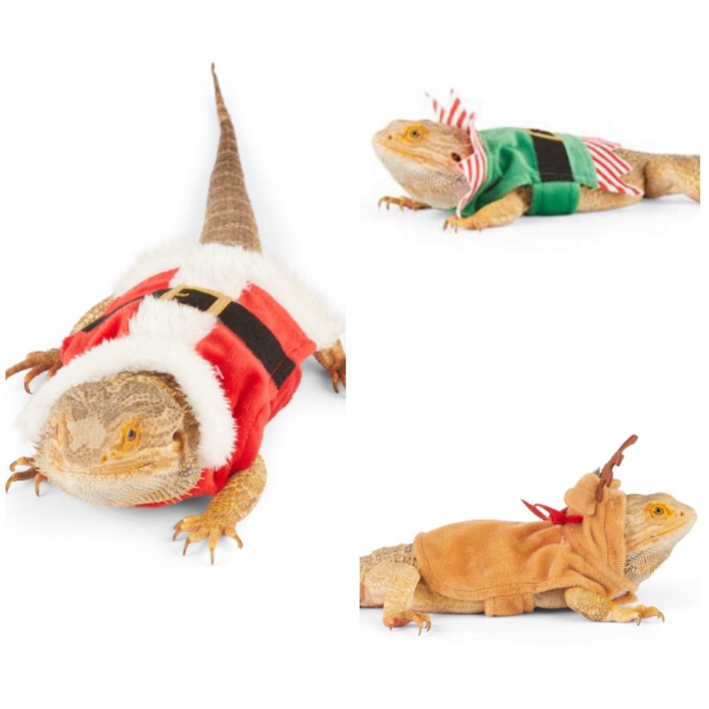 New 3 Bearded Dragon Christmas Outfits Santa, Elf, Reindeer